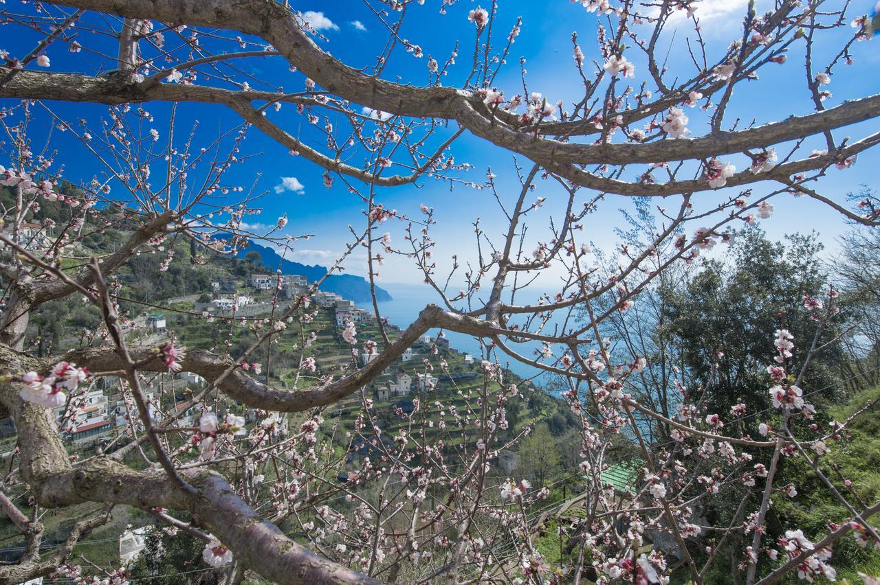 Casa Pina Daire Amalfi Dış mekan fotoğraf