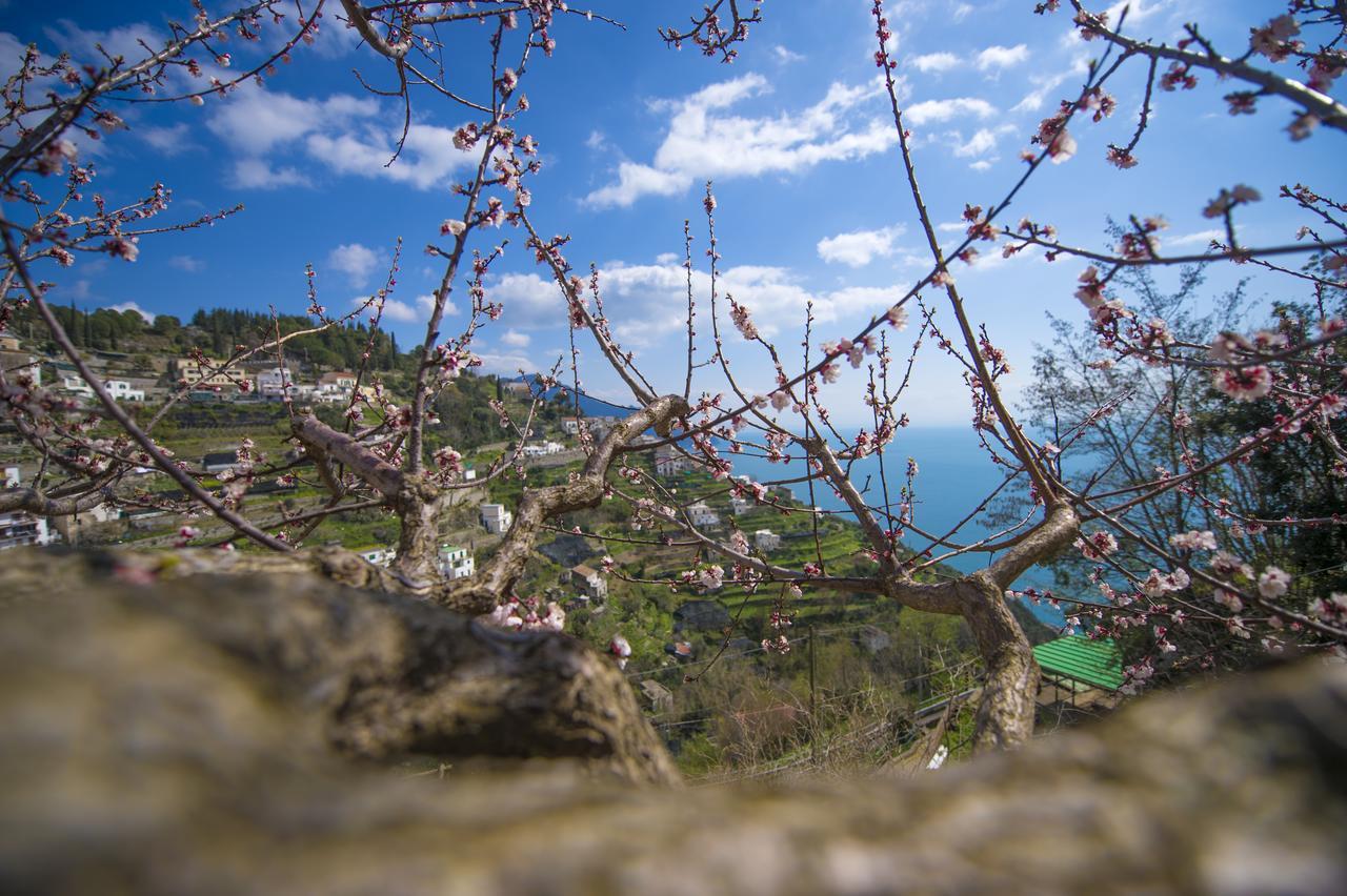 Casa Pina Daire Amalfi Dış mekan fotoğraf